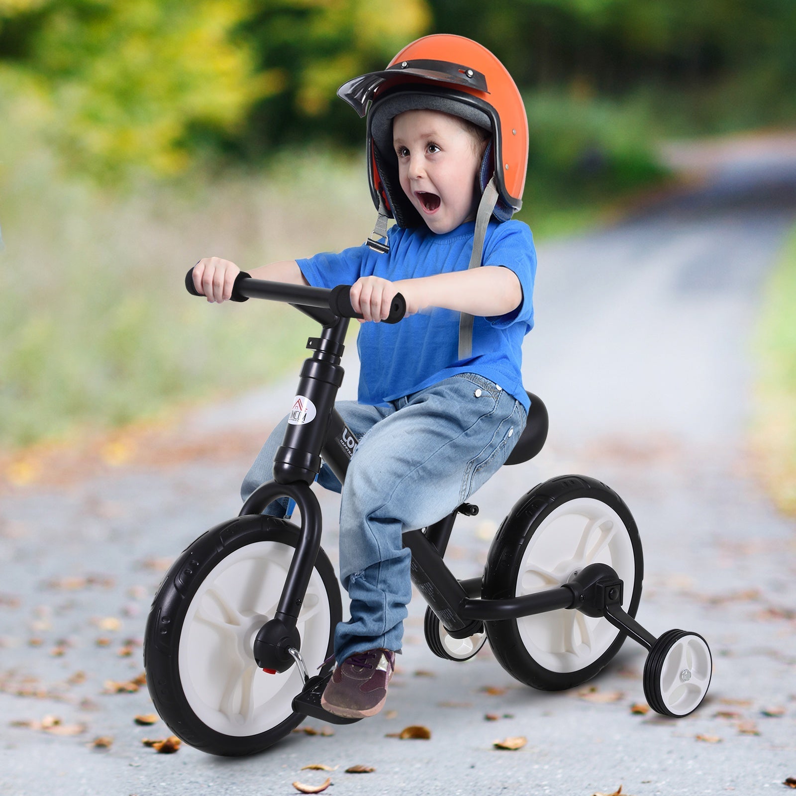 Tri Cycle