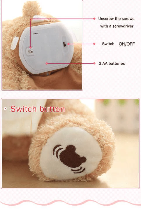 Peek-a-Boo Animated Teddy Bear